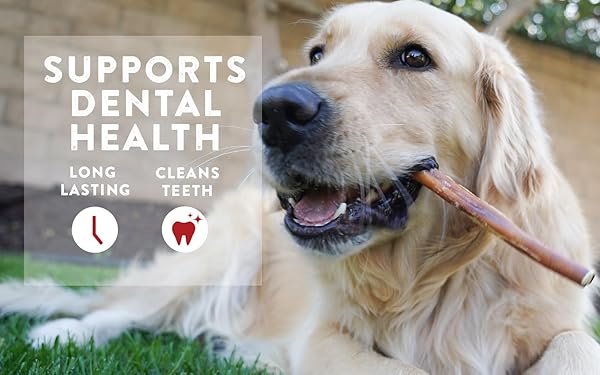 REWARDABLES BULLY STICKS, LARGE, SINGLE-INGREDIENT, PREMIUM, ALL-NATURAL GRASS-FED BULL STICK, LONG LASTING DOG CHEW FOR AGGRESSIVE CHEWERS – 6.25 OZ | FOR MEDIUM TO LARGE DOGS