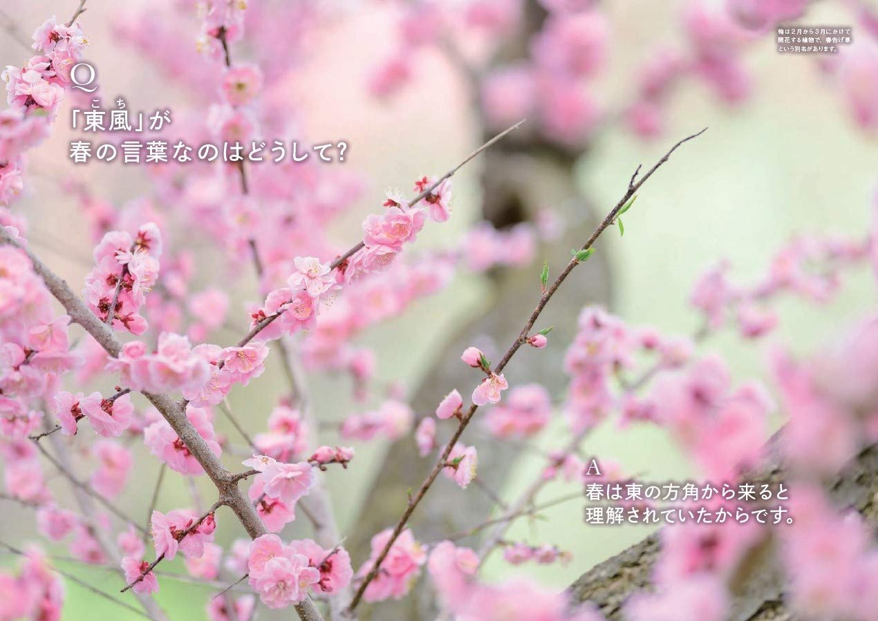 世界でいちばん素敵な大和言葉の教室 世界でいちばん素敵な教室 吉田裕子 本 通販 Amazon