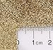 GLITTIES - Gold Jewel - Holographic Loose Fine Glitter Powder (.008