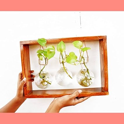 Neverwaste | Elegant Wooden Flask Stand | Set of Stand and 3 Flask | Planter | Flask Planters | propagate in Style | Best Plant Propagation Stations | Tube Planter | Size: 15 * 3 * 10 Inches