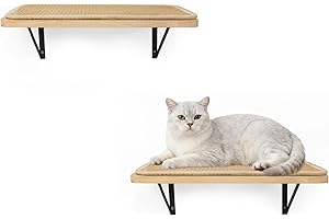 PELUOMOZ 2PCS Cat Wall Shelves with Scratching Mat, 16.6x9.7 Inch Cats Wall Furniture, Solid Pine Wood Kitten Wall Mounted Fl