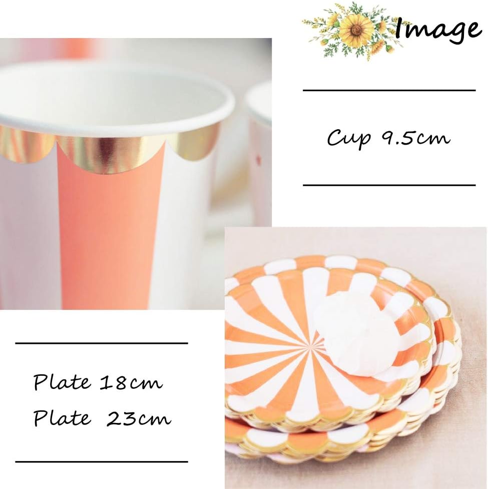 Amazon Co Jp Lumierechat 紙皿 紙コップ 誕生日 お皿 皿 使い捨て 使い捨て食器 パーティー イベント 8名様 サークル A 3356 サークル パープル おもちゃ