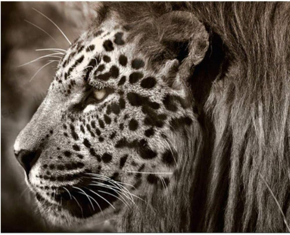Waofe Rahmen Tigers Tiere Diy Malen Nach Zahlen Schwarz