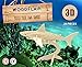 WoodFlair 3D Wooden Puzzle, Set of 3, Aquatic