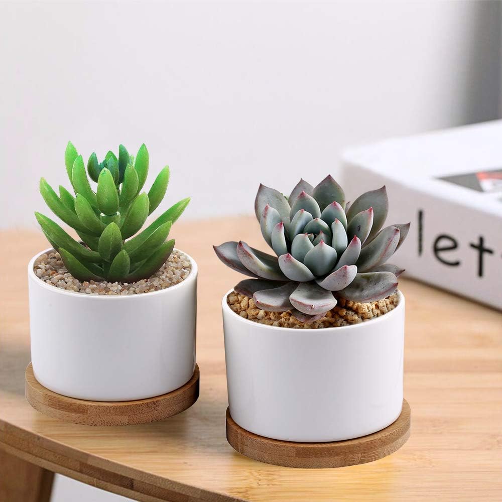 Succulent Pots, ZOUTOG White Mini 3.15 inch Ceramic Flower Planter Pot with Bamboo Tray, Pack of 6 - Plants Not Included: Kitchen & Dining