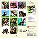 Yorkshire Terrier Puppies 2018 7 x 7 Inch Monthly Mini Wall Calendar, Animals Small Dog Breeds Terrier Puppies