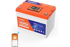 TEMGOT 12V 100AH Group 24 Self-Heating LiFePO4 Lithium Battery with Touchable Smart Display & APP Monitoring, Built-in 100A BMS,1280W Load Power, 5000+ Cycles, Perfect for RV/Camper, Solar, and Off-Grid