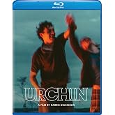 Urchin