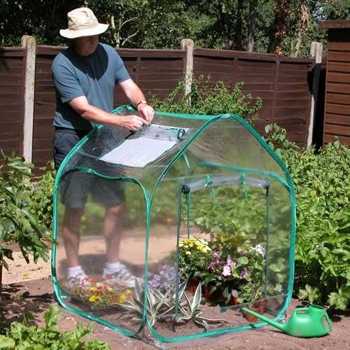 PopUp Mini Greenhouse Pack of 2 Amazon.co.uk Garden & Outdoors
