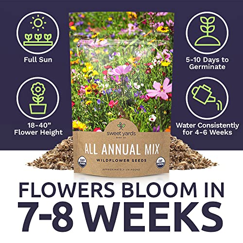 Bulk Wildflower Seeds Annual Quick Blooming Mix 1/4 Pound Bag Over