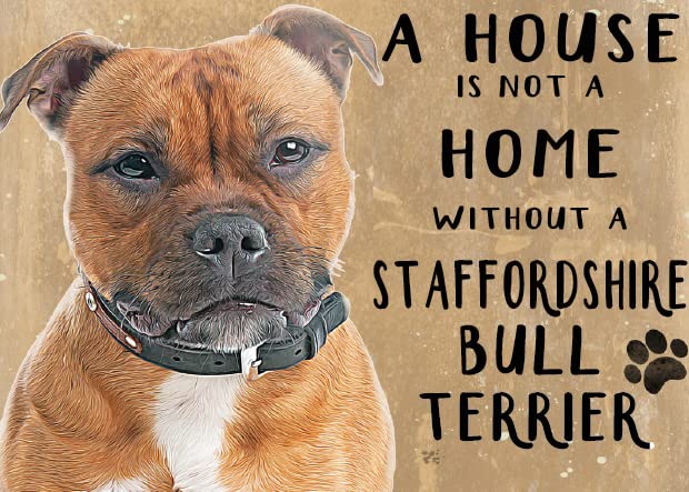 Small (150 x 200mm) Metal Sign - A House is Not a Home - Staffy (Staffordshire Bull Terrier)