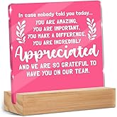Appreciation Gifts for Coworker - Thank You Gifts for Women Men Friends - Inspirational Team Gift Ideas - Motivational Quote Clear Desk Acrylic Sign Decor Home Office Positive Affirmations Desk Decor