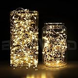 BlueWind 33ft 100leds Led String Lights Copper Wire LED Starry Light with 5V Power Adapter and a Remote Control (Warm White)