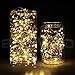 BlueWind 33ft 100leds Led String Lights Copper Wire LED Starry Light with 5V Power Adapter and a Remote Control (Warm White)