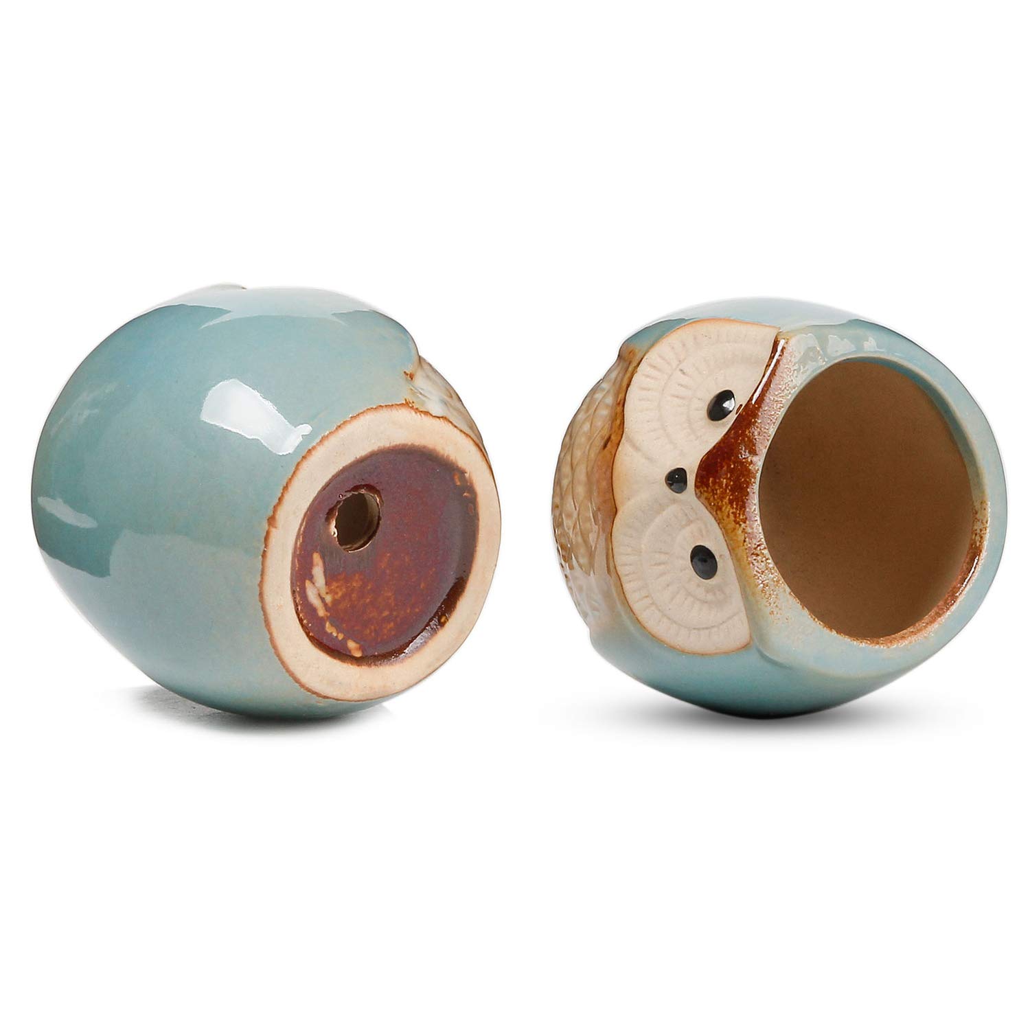 10 Migliori vasetti in ceramica per piante grasse In Italia