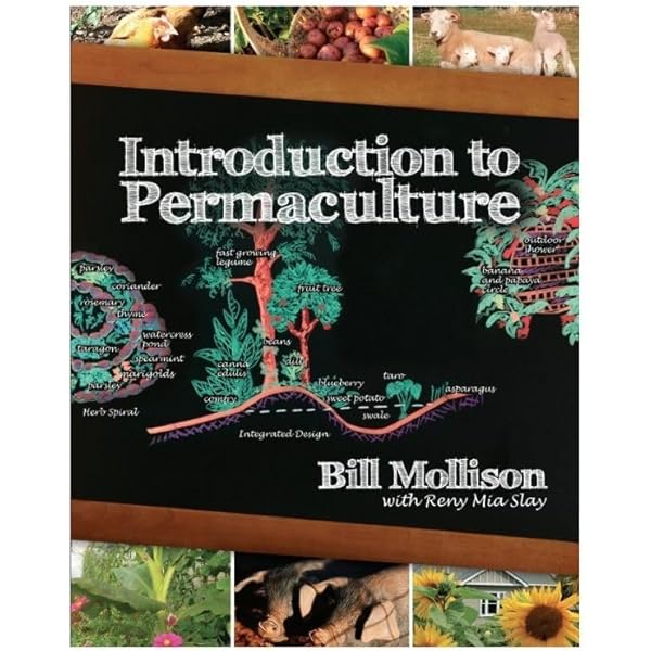Permaculture. A Designers' Manual: Mollison, Bill.: Amazon