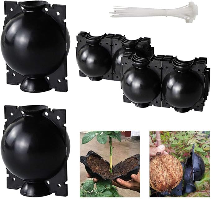 Root Growing Box Plant Propagation Rooting Ball (10 Pack