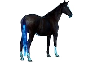 A&K L'YDIA Horse Tail LED Light Bar,100cm/40inch Horse Equipment Riding Tail Trapings Equestrian Type-c Charge Horse Tail Bag for Horse Shows (Blue)