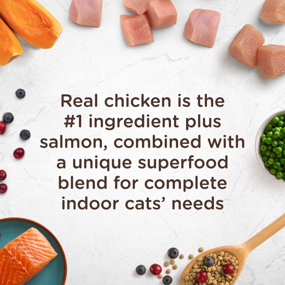 Rachael Ray Nutrish Indoor Complete Premium Natural Dry Cat Food, Chicken with Lentils & Salmon Recipe, 14 Pounds : Computers & Accessories