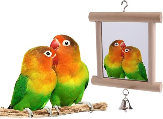 bird swing with mirror