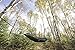 Eclypse II Camping Hammock Professional Grade Ripstop Nylon Strength - Ultra Light and Durable – Tree Friendly Straps and Bug Net For Backpacking, Hiking