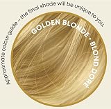Its Pure Organic Herbal Hair Dye Golden Blonde 110g view 6