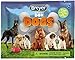 Reeves Breyer Pocket Box Dogs Blind Box
