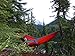 ENO SingleNest Hammock Red Charcoal