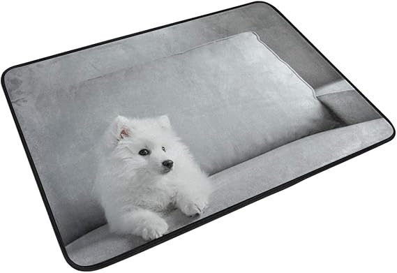 Amazon Co Jp バスマット 玄関マット ソファーで座った 白い サモエド ふわふわ 浴室マット お風呂マット 高密度 足ふき 吸水 洗面所 マット 速乾 おしゃれ 赤ちゃん 人気 台所 服 ファッション小物