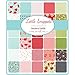 Little Snippets Charm Pack by Bonnie & Camille; 42-5 Inch Precut Fabric Quilt Squares