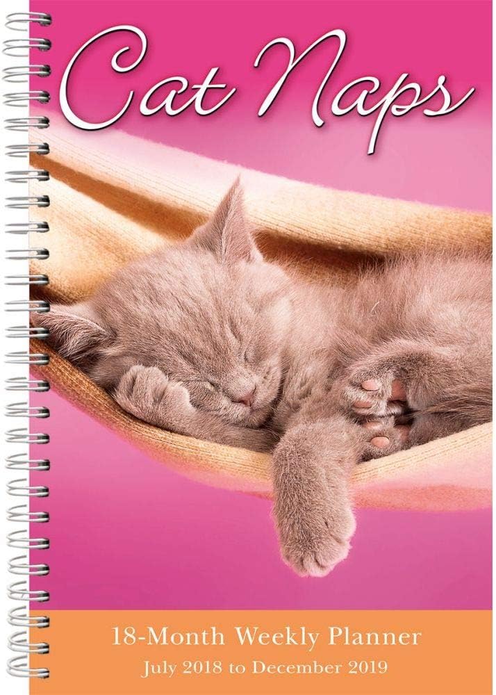 Best Daily Desk Calendar Boho