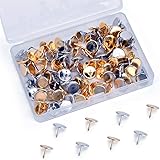 Shiguang 120 Pcs Premium Metal ThumbTacks, 2/5 Inch Multi-Color Push Pins with Storage Box, Flat Map Tacks for Bulletin Cork 