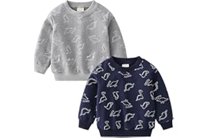 GFQLONG 2 Pack Toddler Boys Long Sleeve Pullover Crewneck Tops Shirts, Cotton Warm Dinosaur Cartoon Sweatshirts