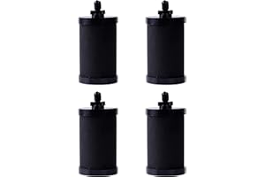 AEWXKT 2387 Pro Filter Replacement Compatible with Alexapure – 4 Pack,11Dx5Wx5H Long-Lasting Replacement Element for Clean Drinking Water 4 Packs