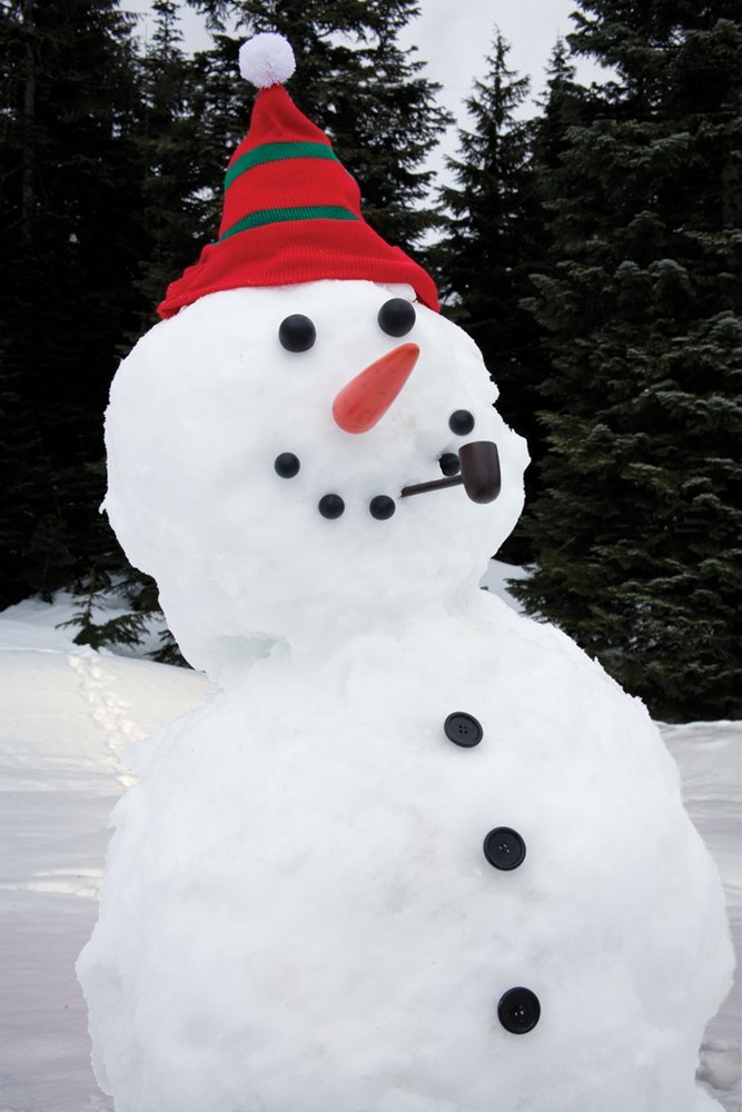 Wooden Simulation Dress Up Snowman Kit Christmas Decor Accessories ...