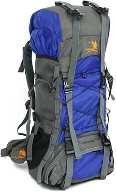 Amazon メンズ ファッション バッグ リュック バックパック アウトドア 肩掛け 登山リュック 超大容量 上質 人気 Zy 01 登山リュック ザック