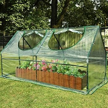 Quictent Waterproof UV Protected Reinforced Mini Cloche Greenhouse 95