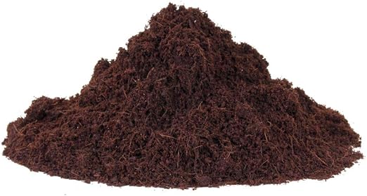 Coco Tierra, sustrato de coco, 10 L de tierra de cultivo 62170 ...