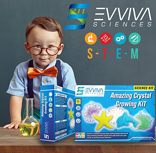 Crystal Growing Kit For Kids - Evviva Sciences - Science Kit To Make & Grow Rocks, Crystals, Gems - Easy All Inclusive Set - Chemistry, Geology & Learning Experiment Toy - w/ eBook