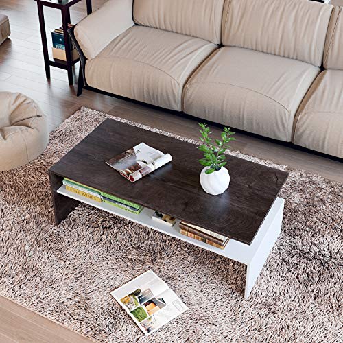 HOMFA Modern Console Table Coffee Table 2Tier, 47.2" Rectangular