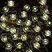 WSgift Turtle Decorative String Lights 13 Ft 40 LED Weatherproof Battery Operated 8 Modes Turtle Fairy Lights for Holiday Weddings Bedrooms Party Decorations with Remote and Timer (Warm White)