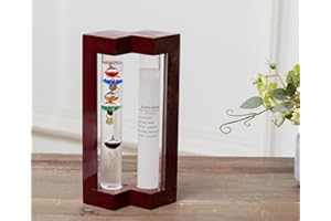 JINGYUE Weather Station with Glass Galileo Thermometer with 5 Multi Colored Balls from 64ºF to 80ºF Fitzroy Storm Glass Gift for Family or Friends Present Home, Office Indoor Décor (7.8" x 4.8")