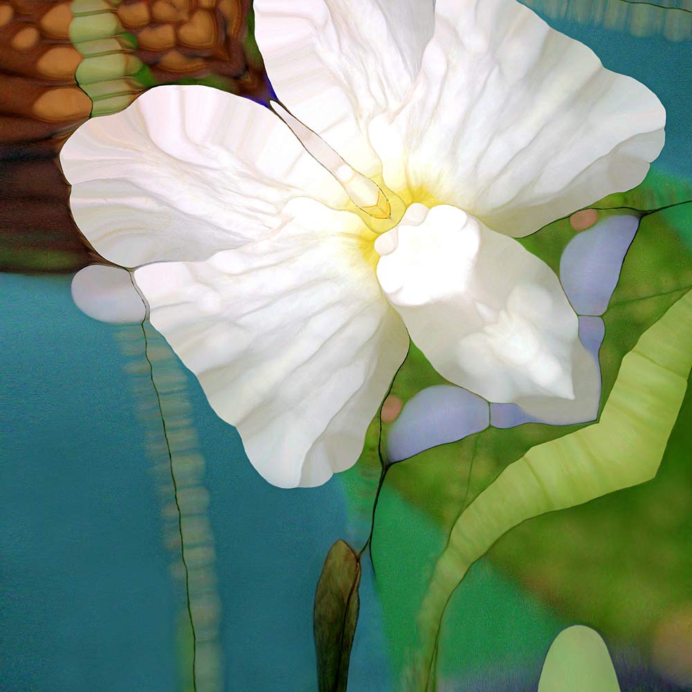 International Graphics - Finished Picture - Renate M., Schmidt - ''Filigrane Welt''- 30 x 30 cm - Direct printing on acrylic glass