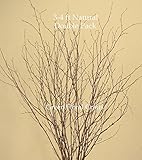 GreenFloralCrafts Natural Birch, 3-4 feet Tall, 24 Branches, Pods & Feather Millet
