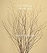 GreenFloralCrafts Natural Birch Branches (30 Pack), 3-4', Natural Brown
