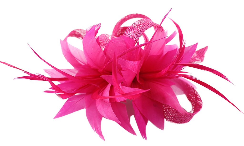 La Vogue Women Small Sinamay Fascinators Feather Flowers Hair Clip