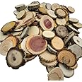 Wood Slice Variety Pack, 1" - 3", Qty of 50 - Varying Diameters - Black Walnut, Red Cedar, Maple, Oak, Coasters, Craft Wood, Wood Burning, Epoxy Resin Projects, Photo Props, DIY Coasters