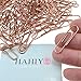 HAHIYO Paper Clips 1.3