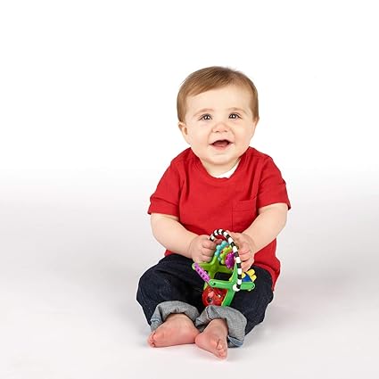 sassy teethe & twirl sensation station