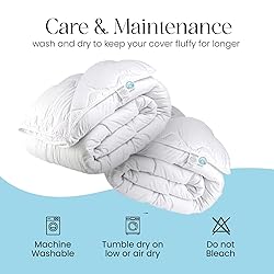 East Coast Bedding Cozy Dream Goose Down and